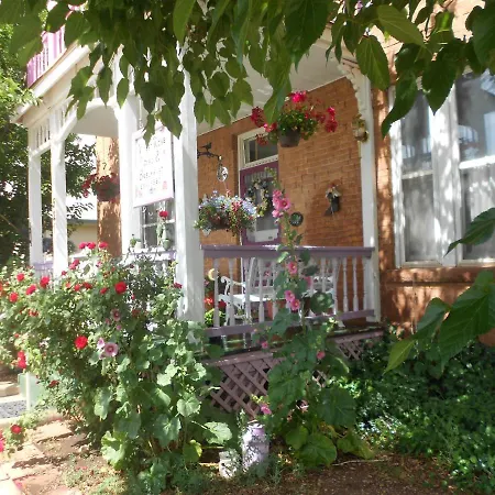 Violet Rose B&B