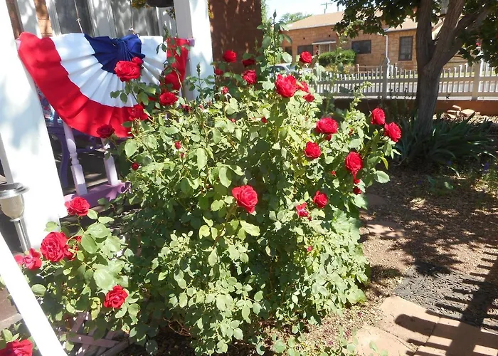 Violet Rose B&B Bed & Breakfast Winslow